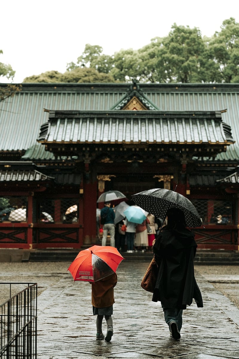 Travelers with backpacks